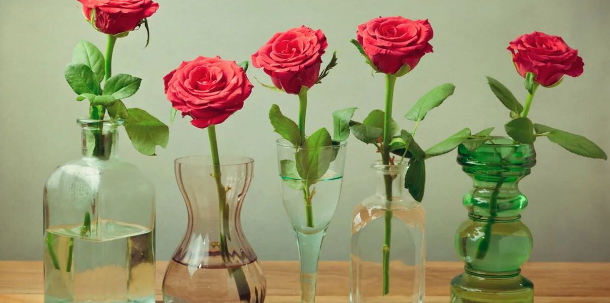 Секреты флористов: как продлить розам жизнь в комнатной вазе